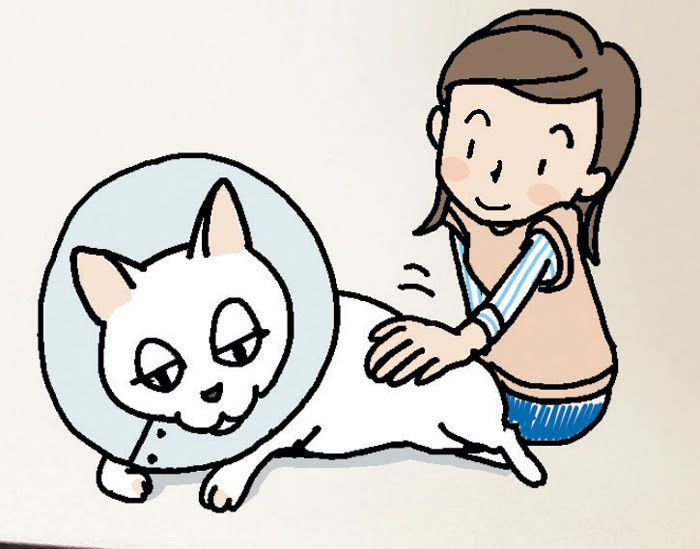 「ねこのきもち」2016年5月号