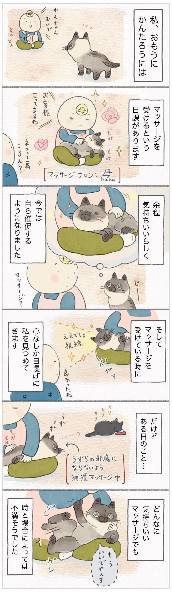 「ねこ連れ草」175話め