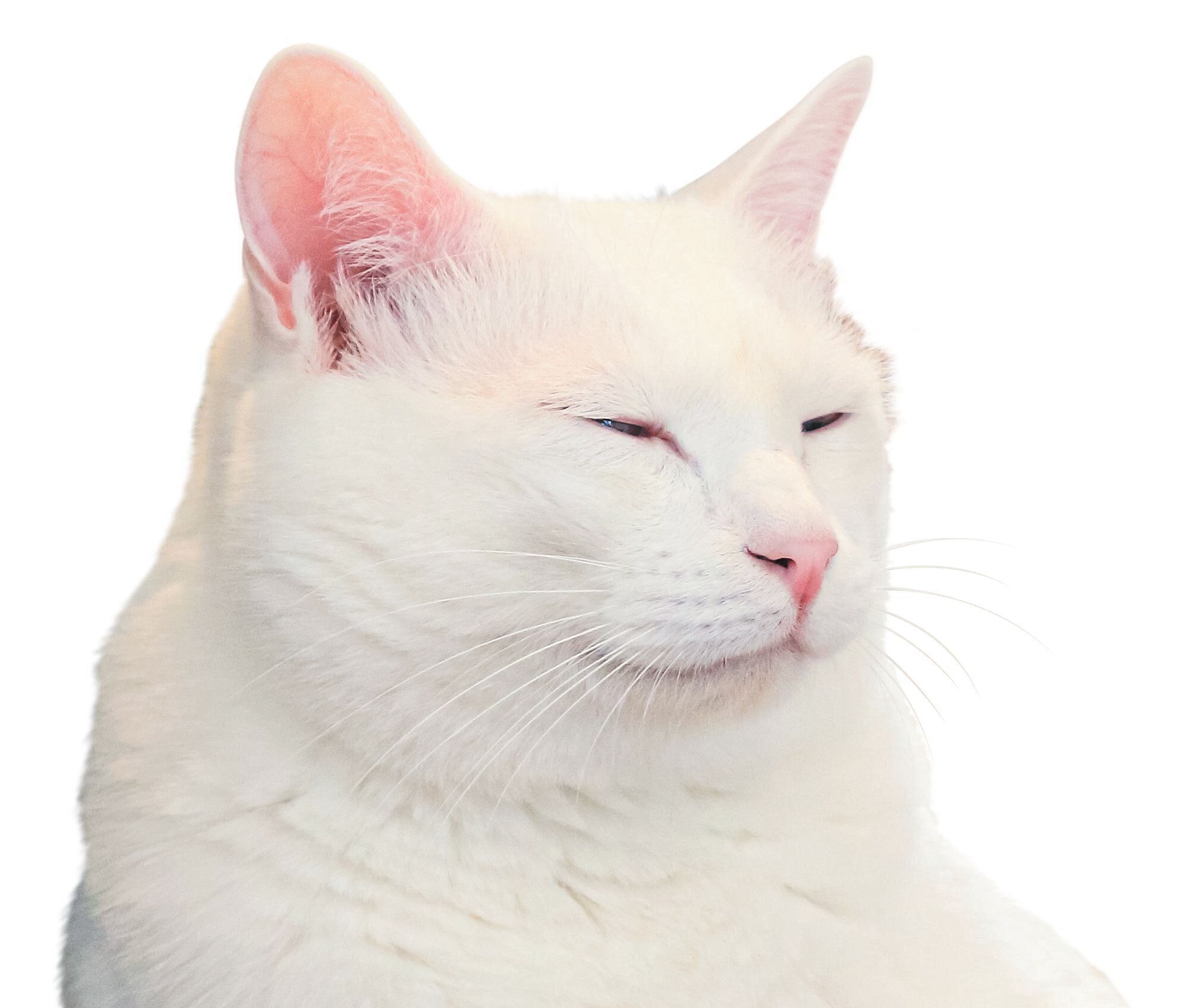 撮影／尾崎たまき