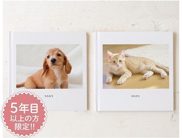 フォトブック （book）