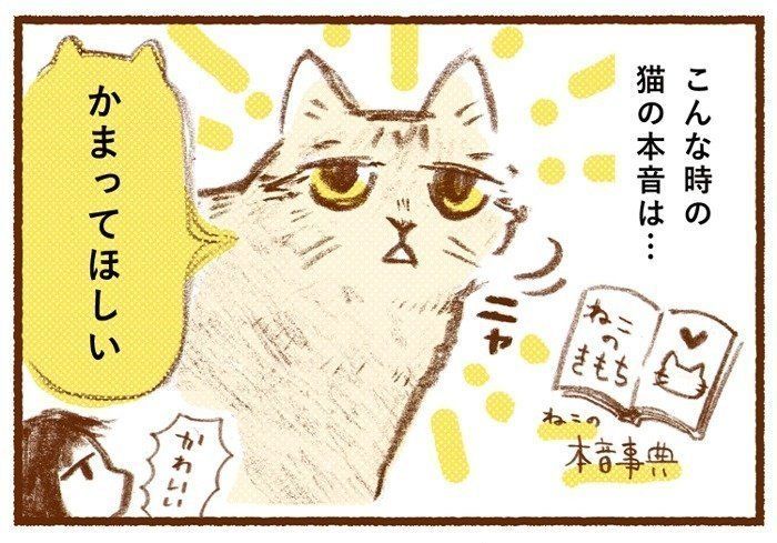 作業のじゃまをするときの猫の本音とは?