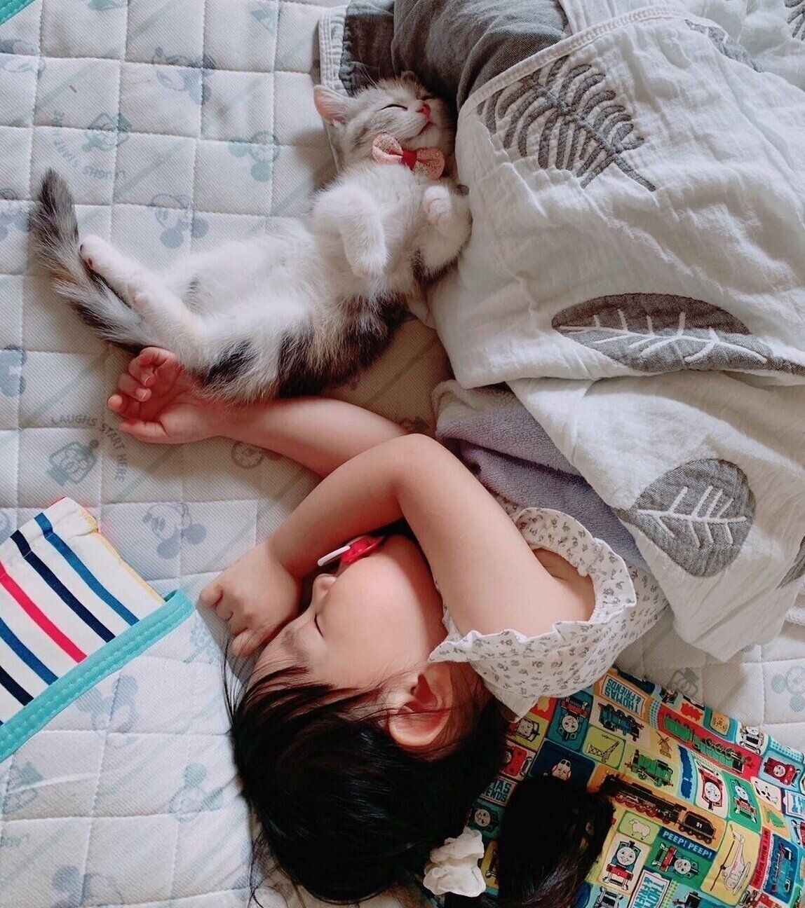 仲良くお昼寝するシャロンちゃんと娘さん