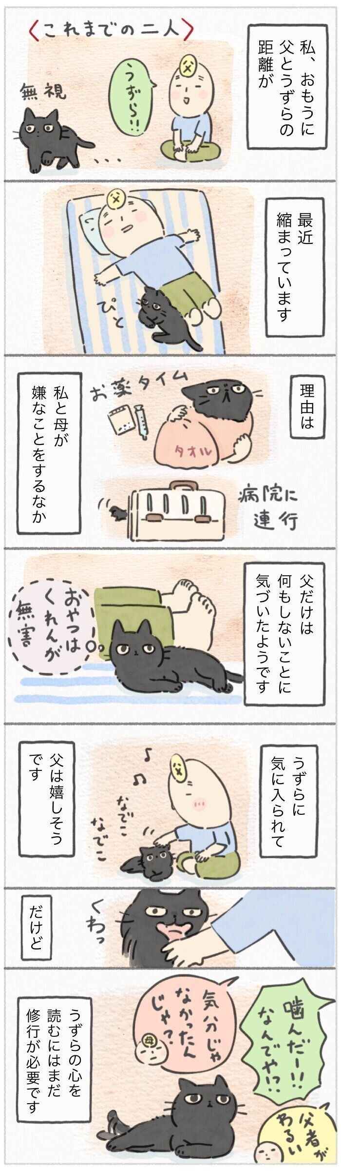 「ねこ連れ草」337話め