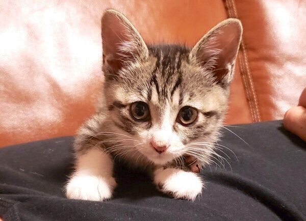 見つめるノアちゃん