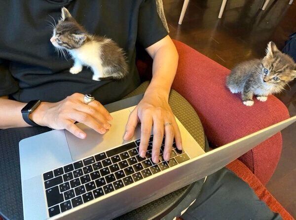 パパさんの周りに集まるアポロくん、オレオくん