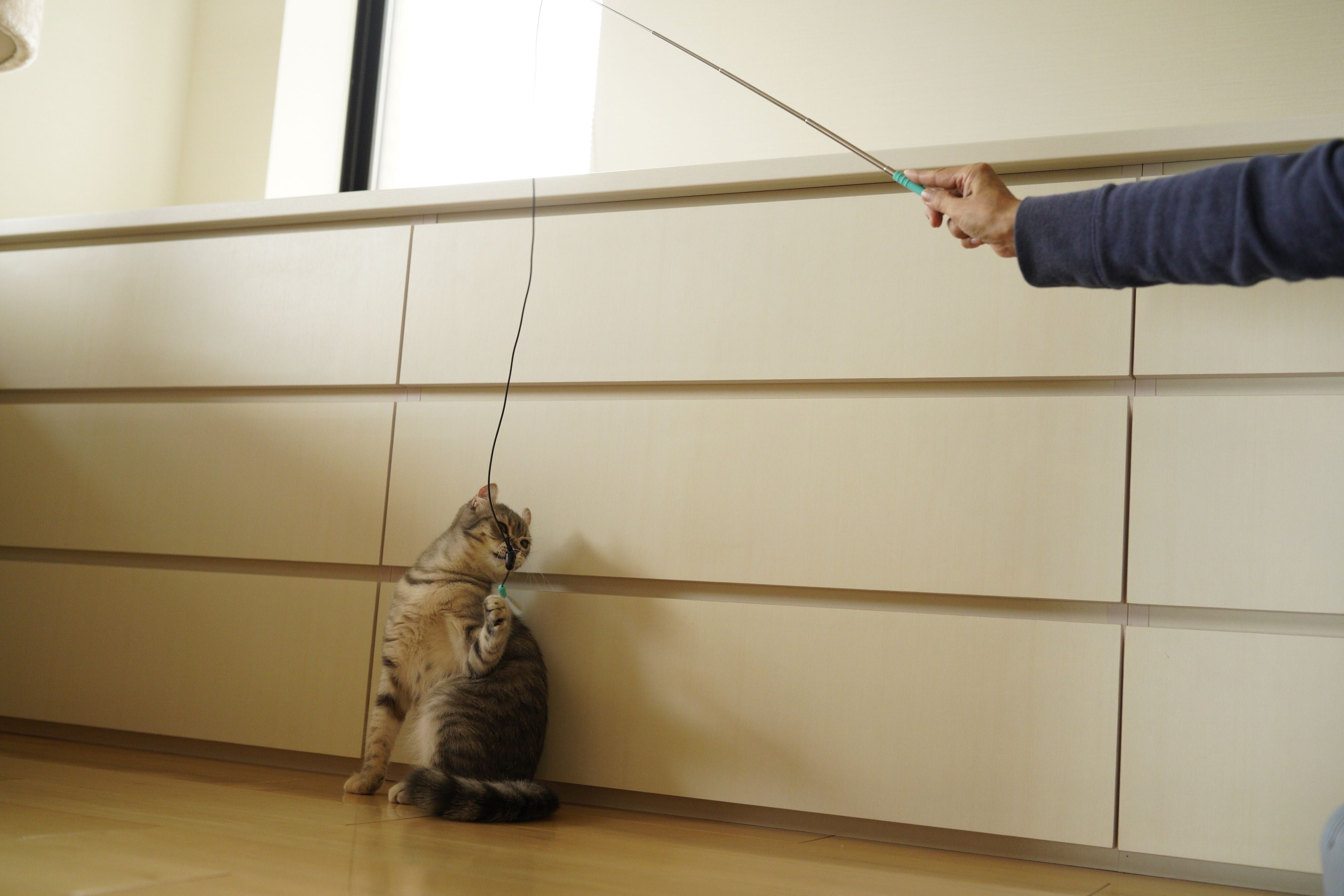 撮影／石原さくら