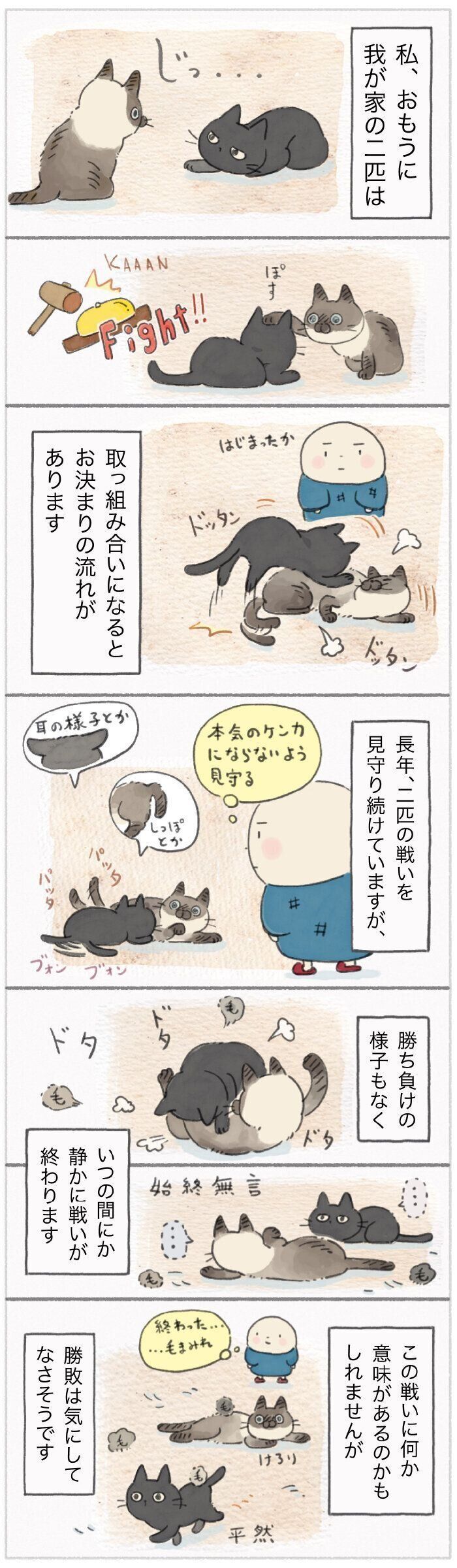 「ねこ連れ草」180話め