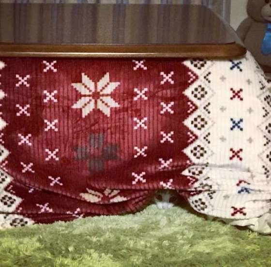 #寒いときの居場所