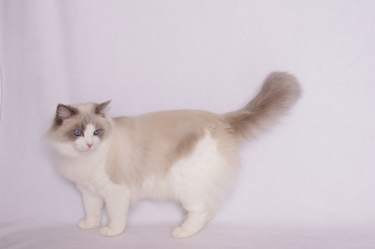 撮影／石原さくら