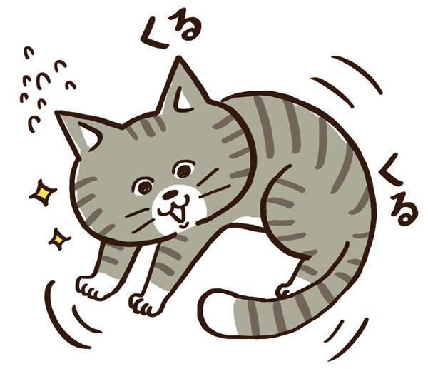 しっぽを追う子猫