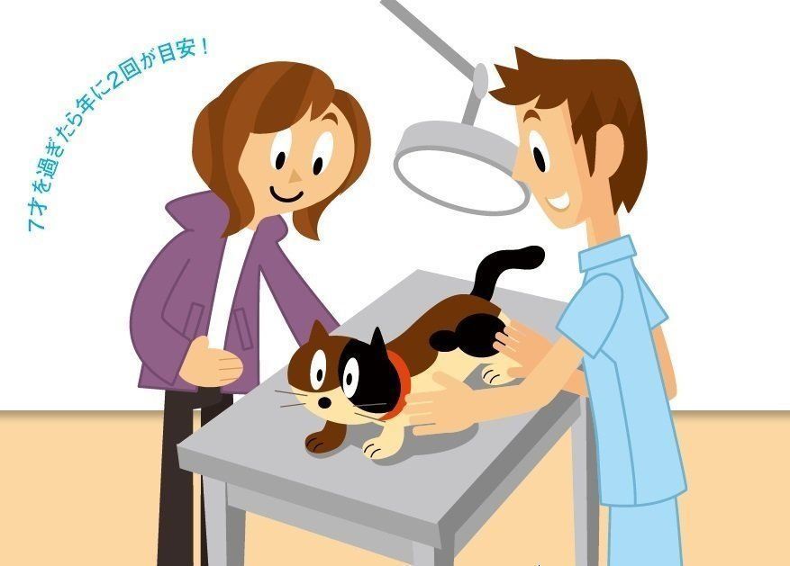 イラスト／石川日向