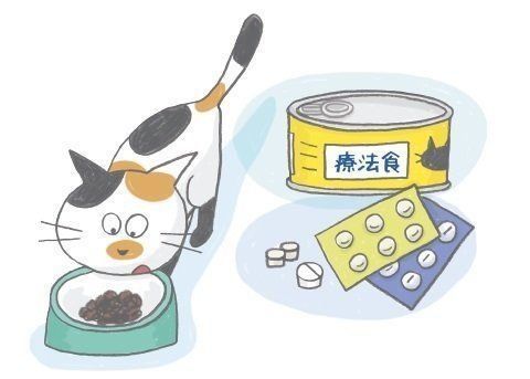 イラスト／上垣厚子