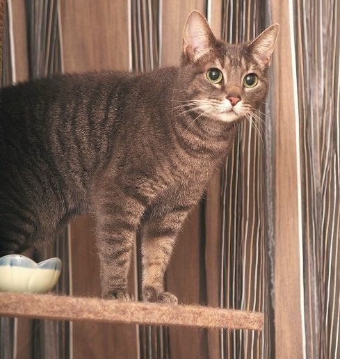 撮影／石原さくら