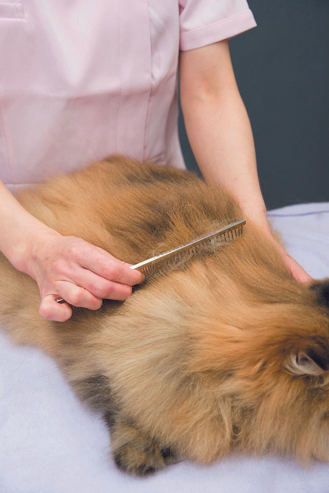 撮影／中川文作