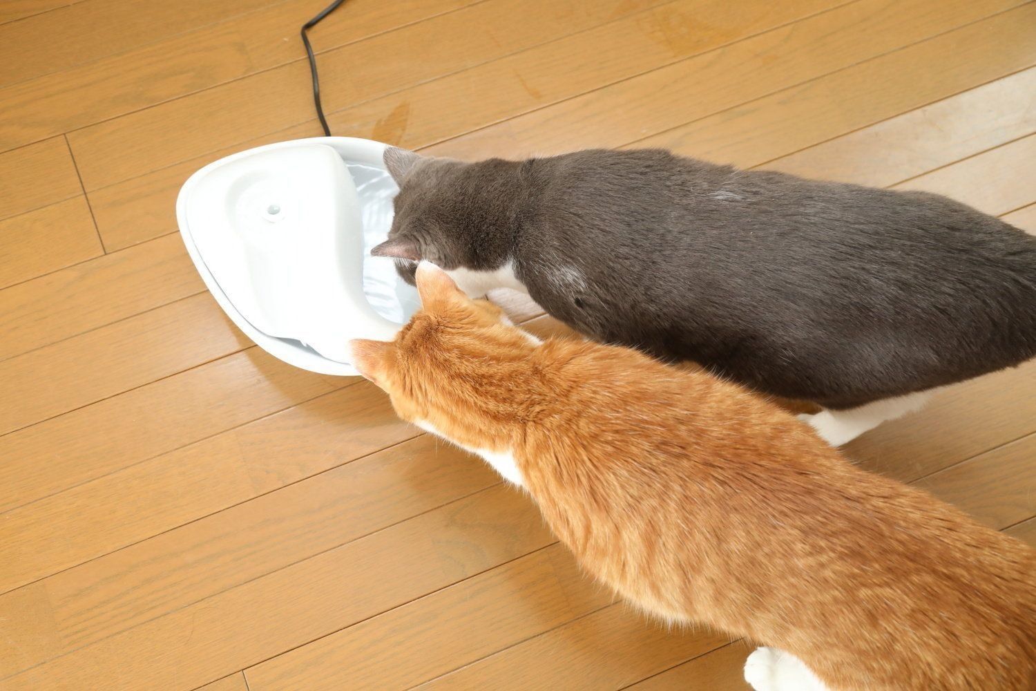 撮影／尾﨑たまき