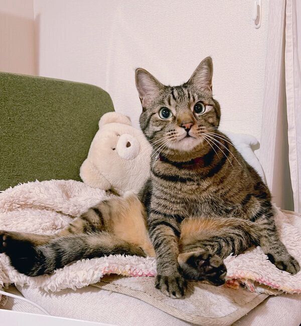 くつろぐベルくん