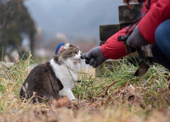 らぶ駅長とのふれあい