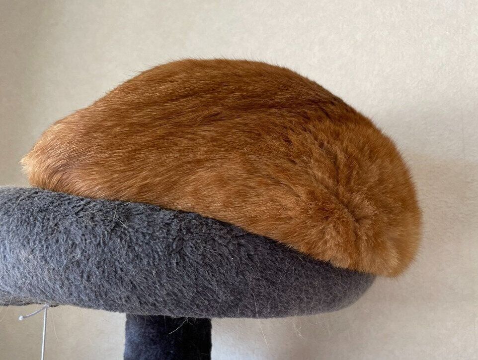 キャットタワーの上で眠る猫