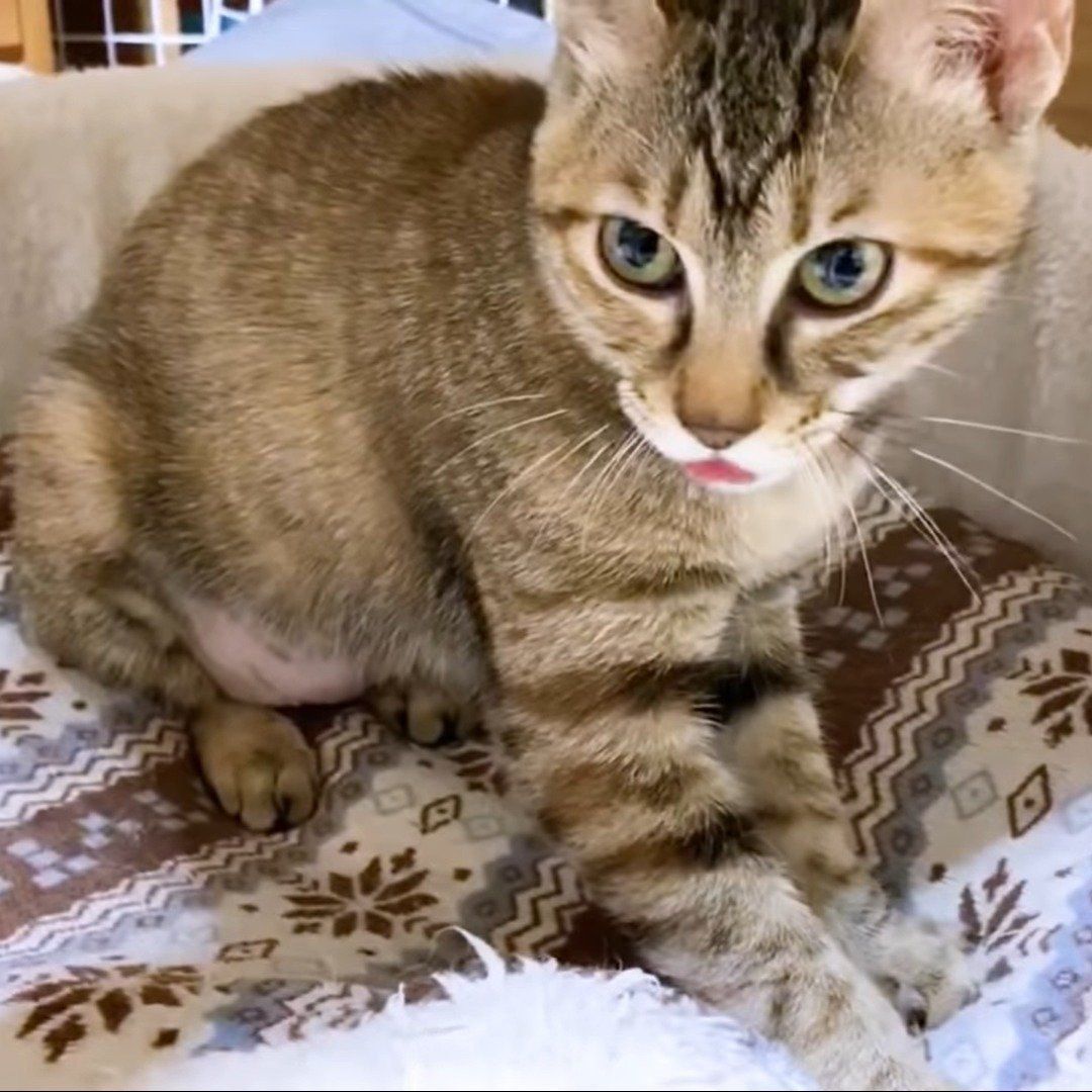 エアーちゅうちゅうしているリタちゃん