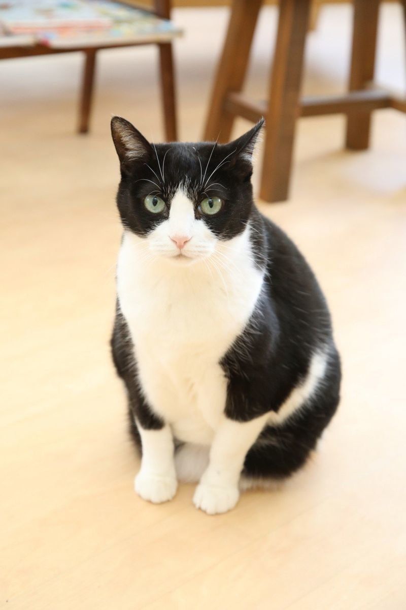 撮影／尾﨑たまき