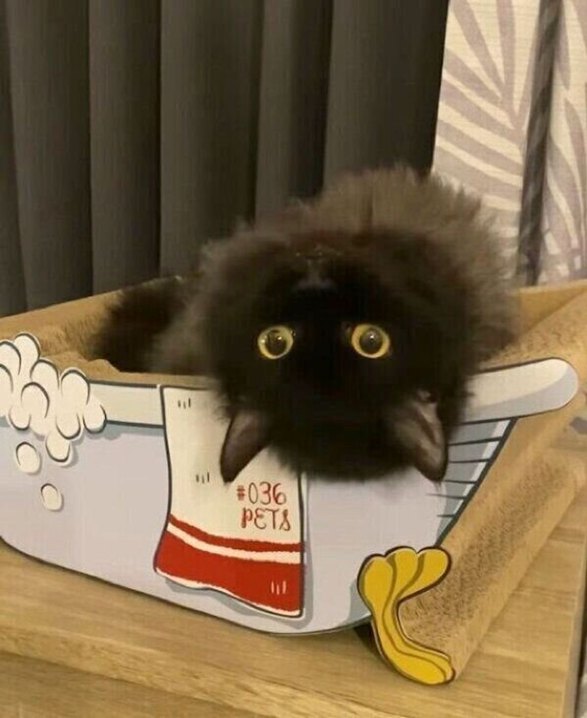 振り向き方 のクセがスゴい猫 柔軟性を生かしたユニークすぎる動きに爆笑 ねこのきもちweb Magazine 振り向き方 のクセがスゴい猫 柔軟性を生かしたユニークすぎる動きに爆笑 ねこのきもちweb Magazine