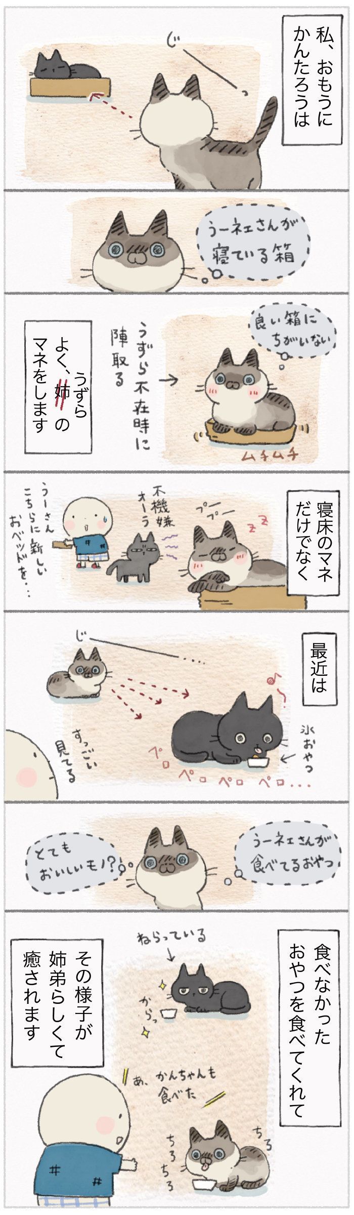 「ねこ連れ草」35話め