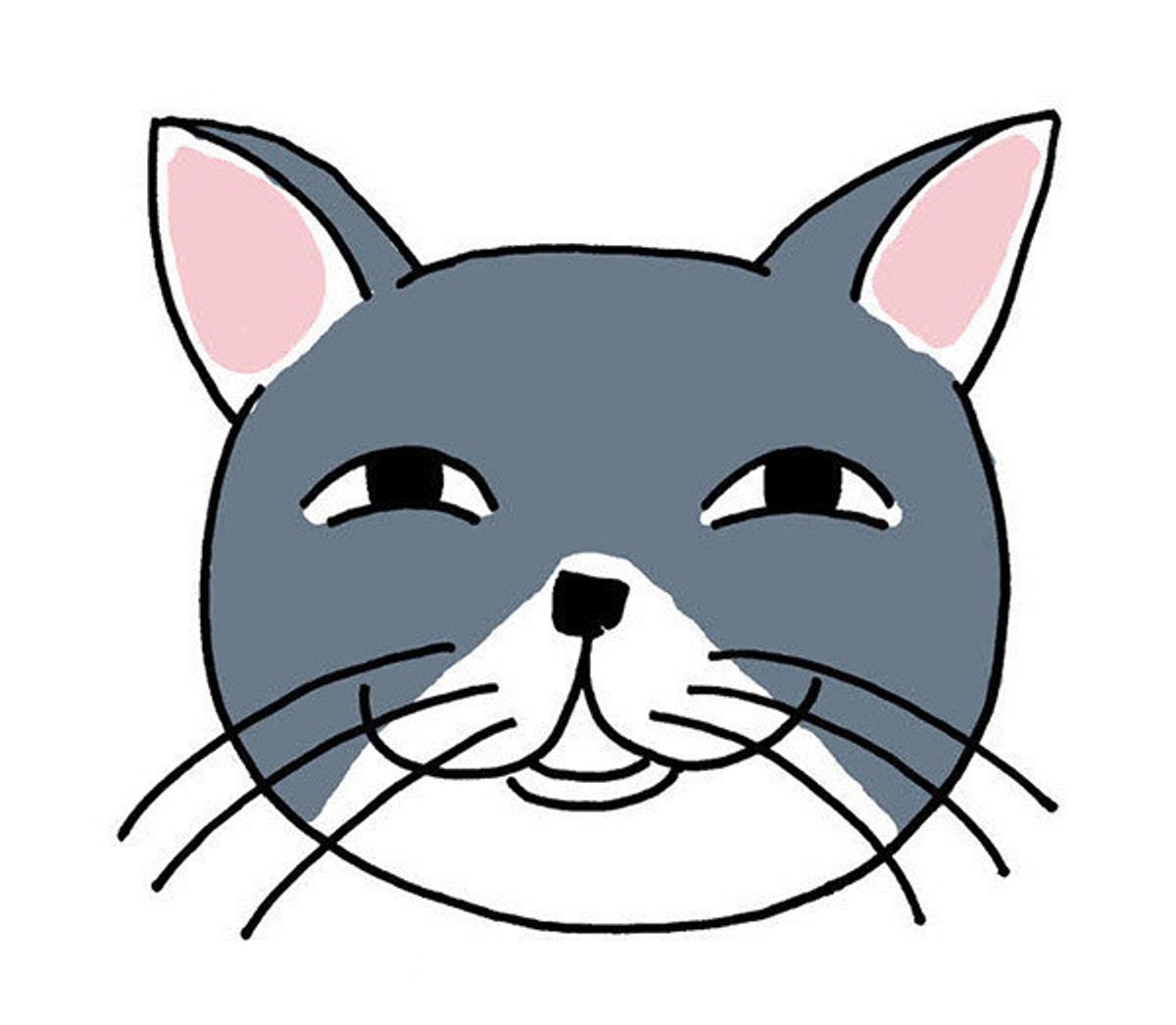 表情やしぐさでわかる 猫の 安心 不安 な気持ちの見極め方 ねこのきもちweb Magazine 表情やしぐさでわかる 猫の 安心 不安 な気持ちの見極め方 ねこのきもちweb Magazine