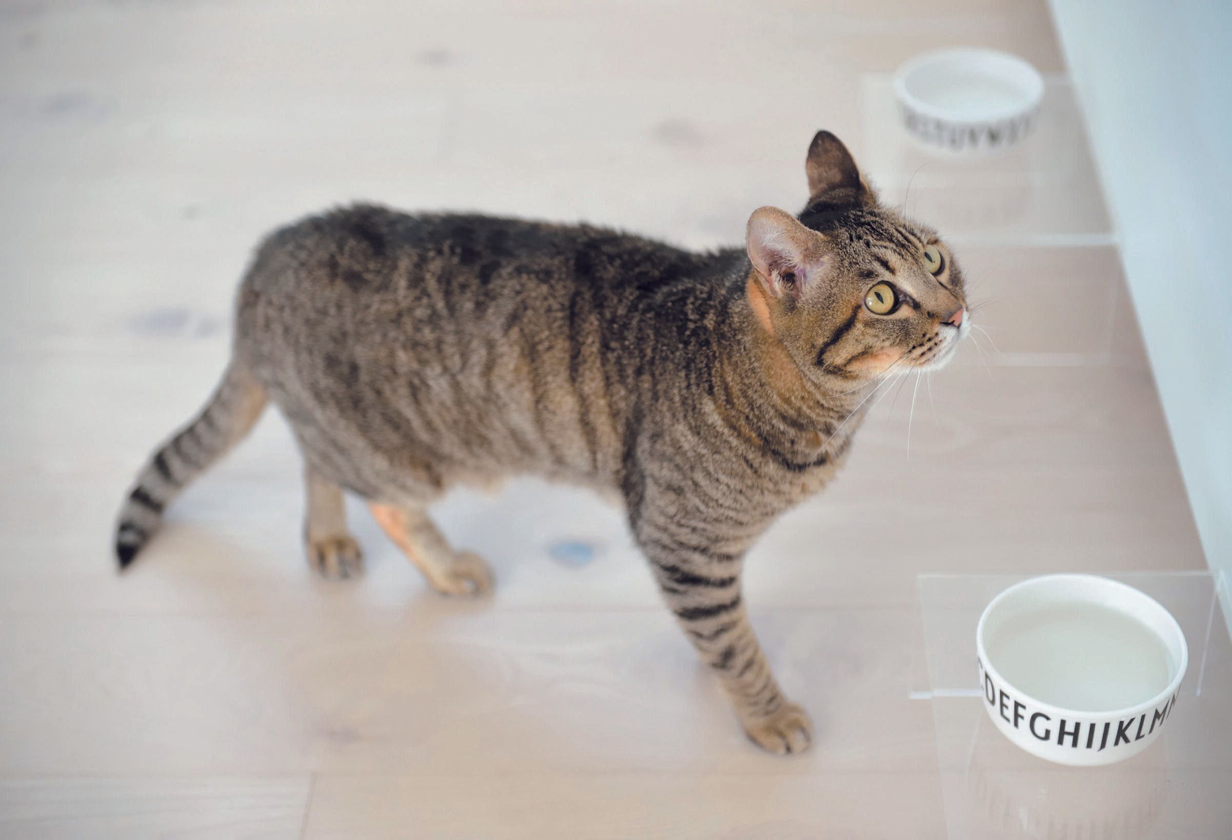 撮影／菊池陽一郎