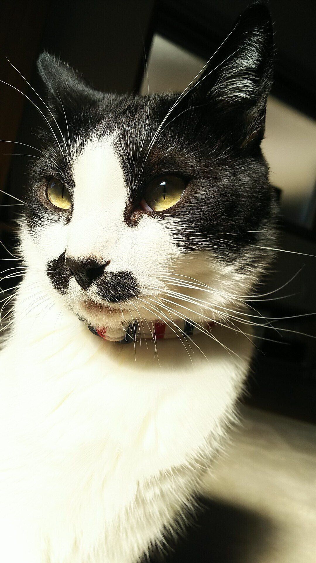 画像／読者提供