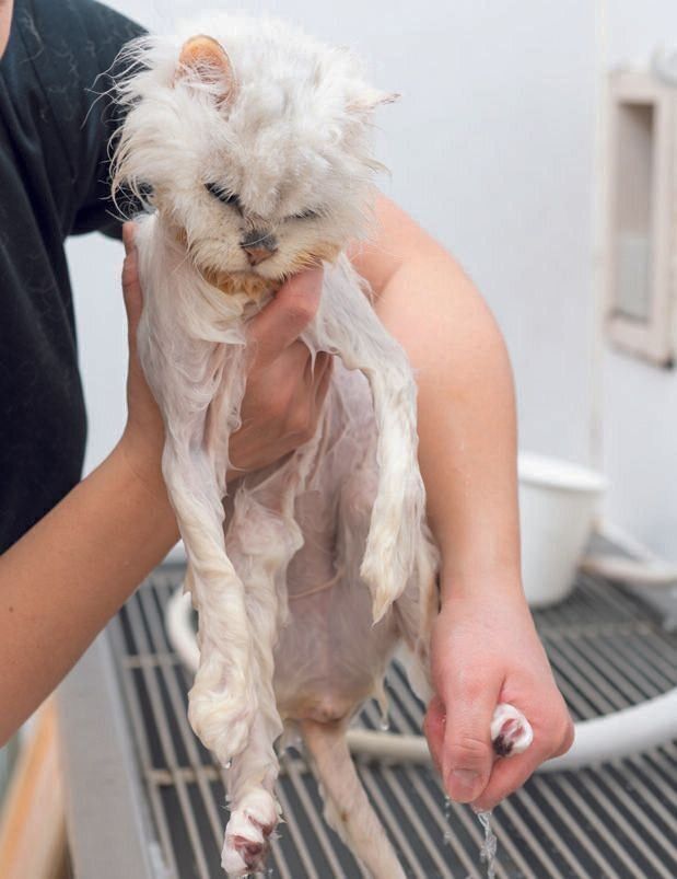 撮影／石原さくら