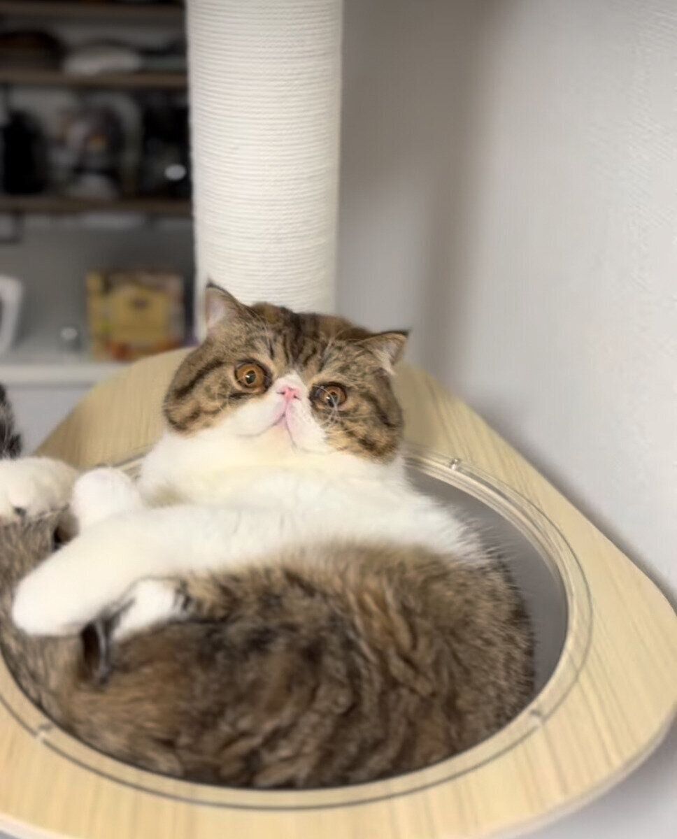 宇宙船にジャストフィット