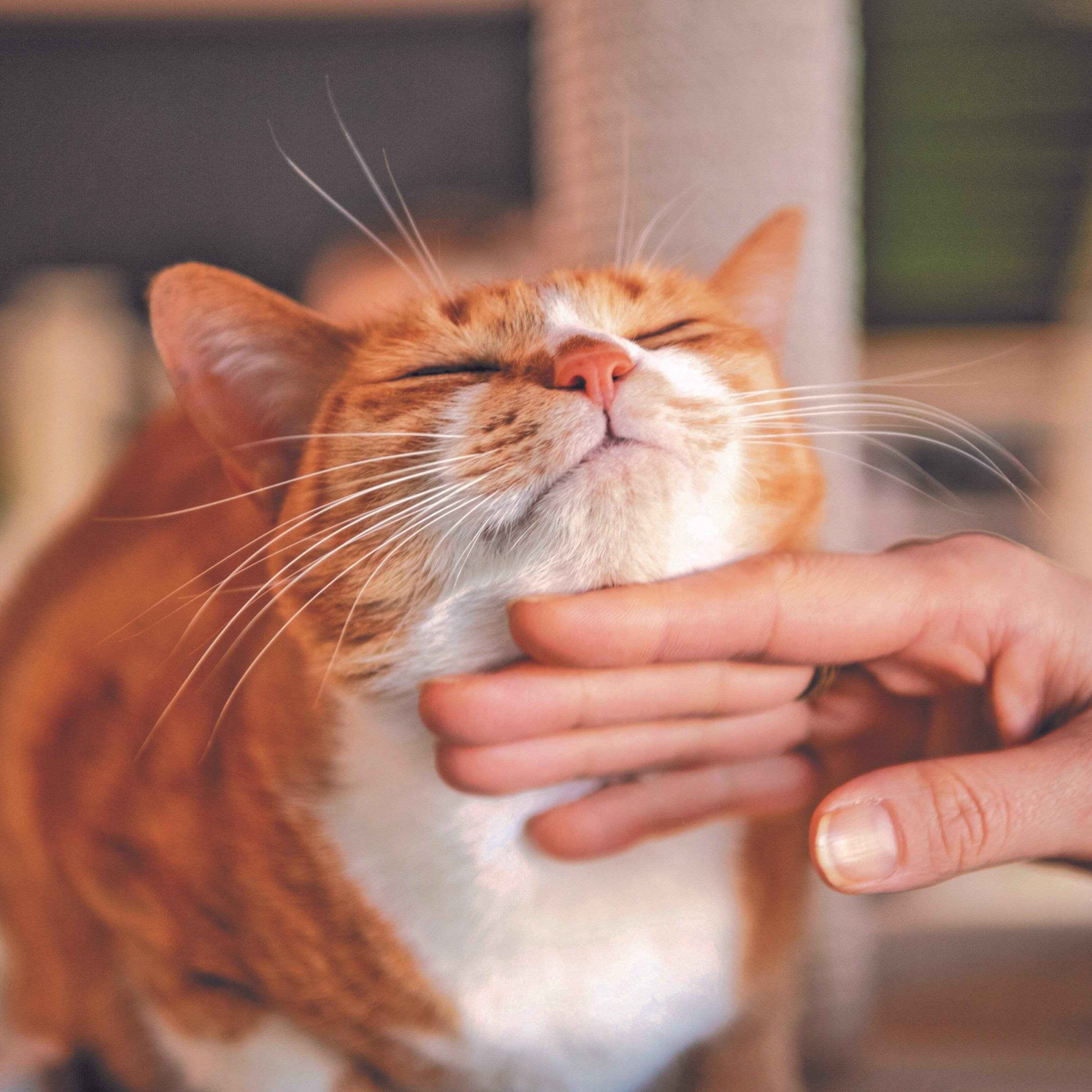 撮影／Akimasa Harada