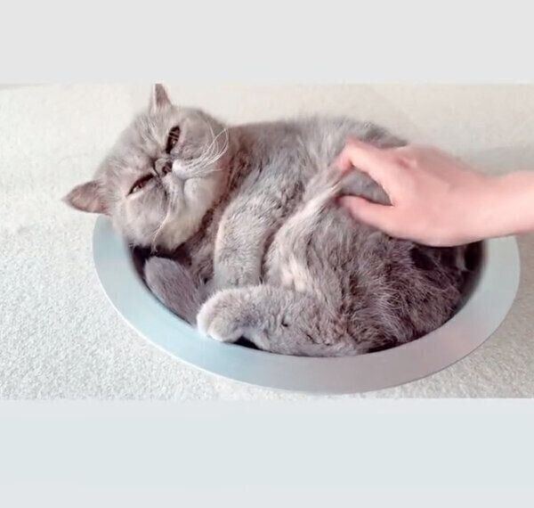 マッサージ中のふくすけくん