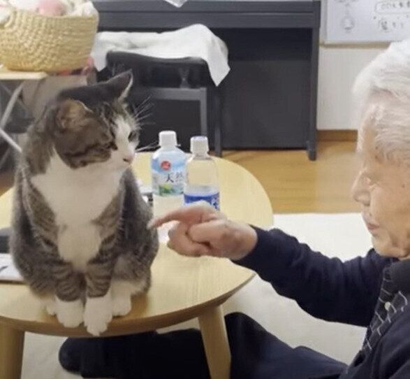 おじいちゃん大好きなオデコちゃん