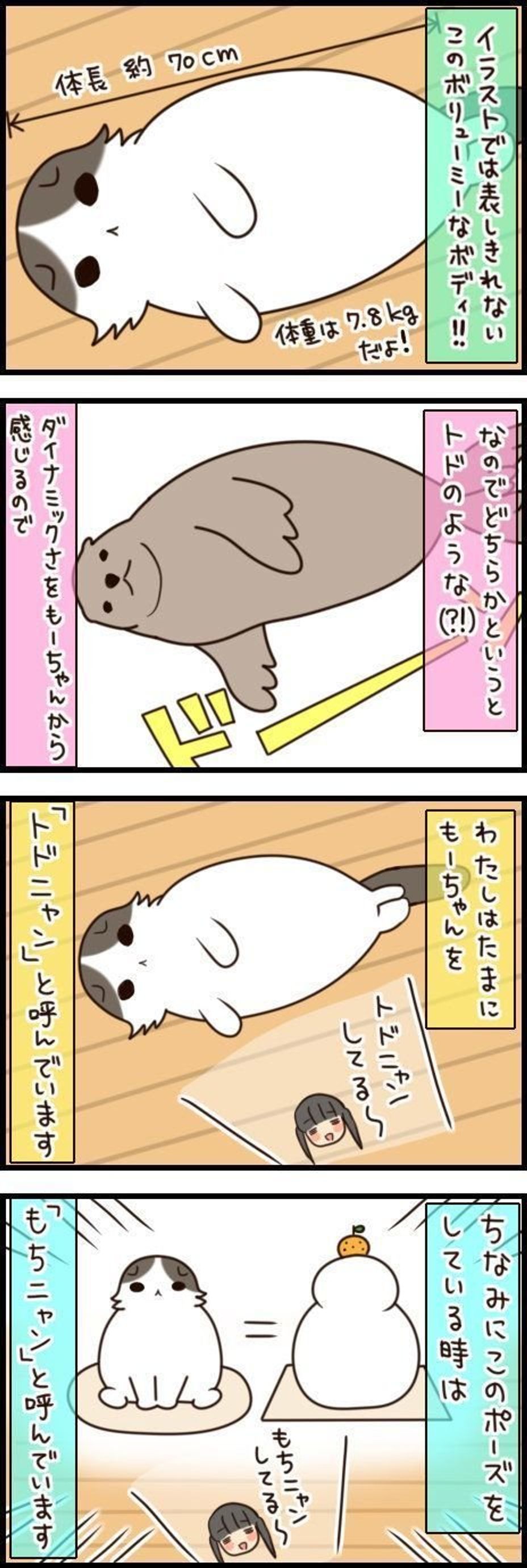 愛猫の呼び名がころころ変わるのは自分だけじゃない もふもふスコたん Vol 58 ねこのきもちweb Magazine 愛猫の呼び名がころころ変わるのは自分だけじゃない もふもふスコたん Vol 58 ねこのきもちweb Magazine