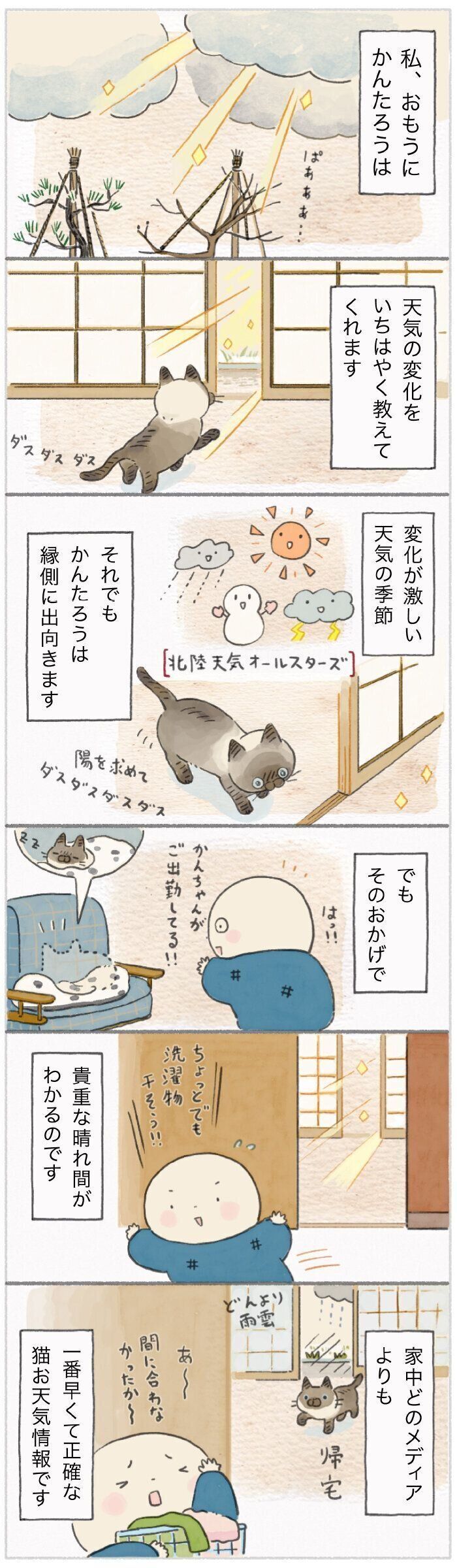 「ねこ連れ草」215話め