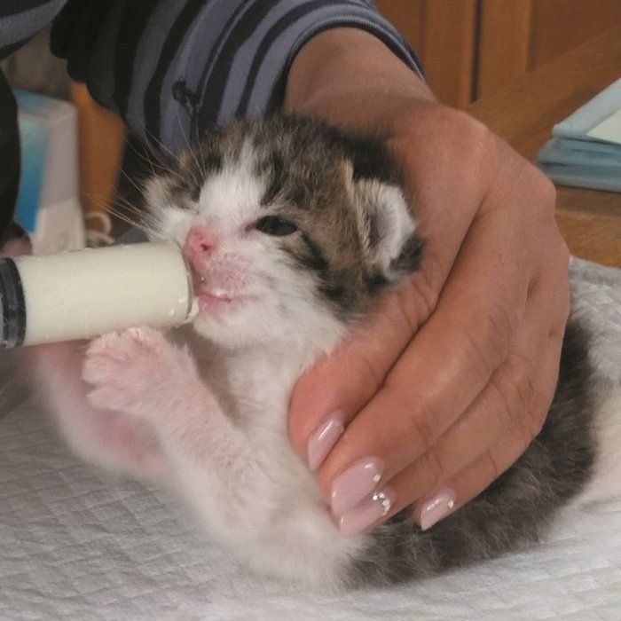 写真提供／一般財団法人クリステル・ヴィ・アンサンブル