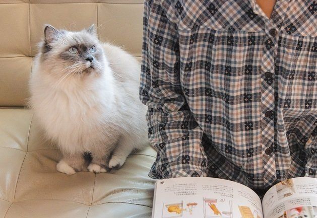 撮影／Akimasa Harada