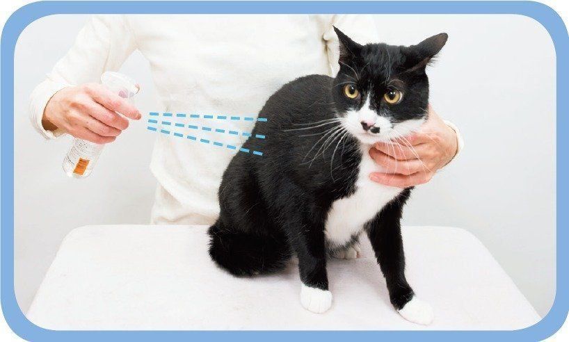 撮影／中川文作