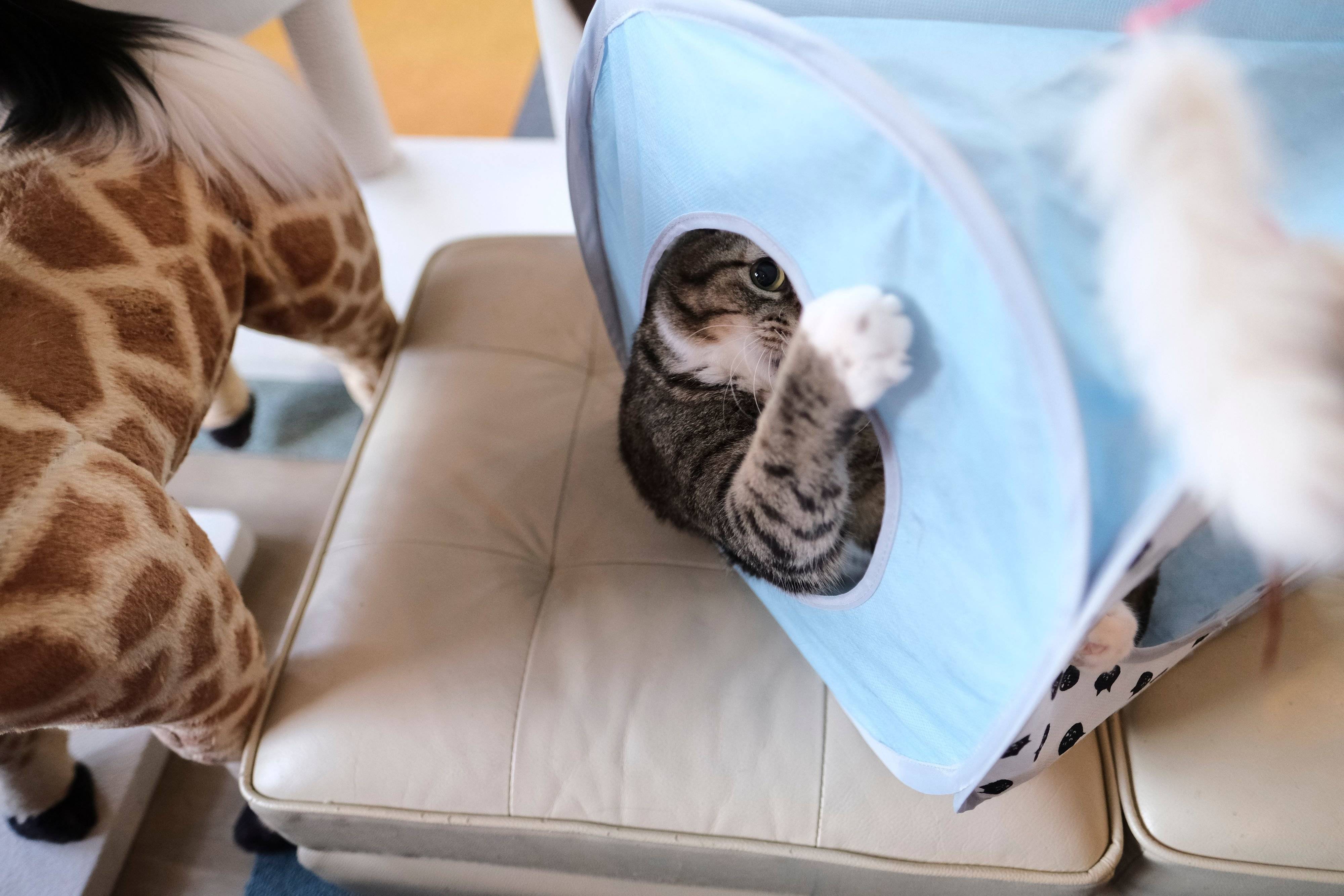 撮影／Akimasa Harada