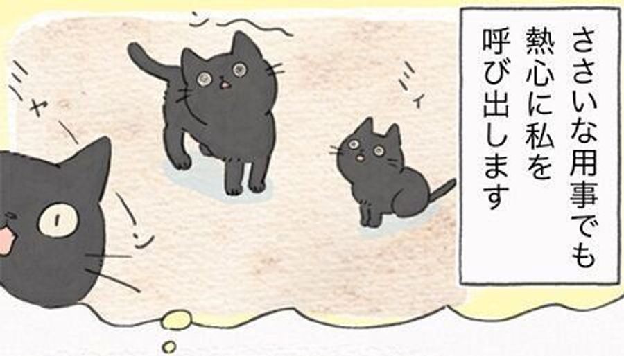 いつだって熱心に呼ぶ猫だけど その用事はささいな要求なことも 連載 ねこ連れ草 1話め ねこのきもちweb Magazine いつだって熱心に呼ぶ猫だけど その用事はささいな要求なことも 連載 ねこ連れ草 1話め ねこのきもちweb Magazine
