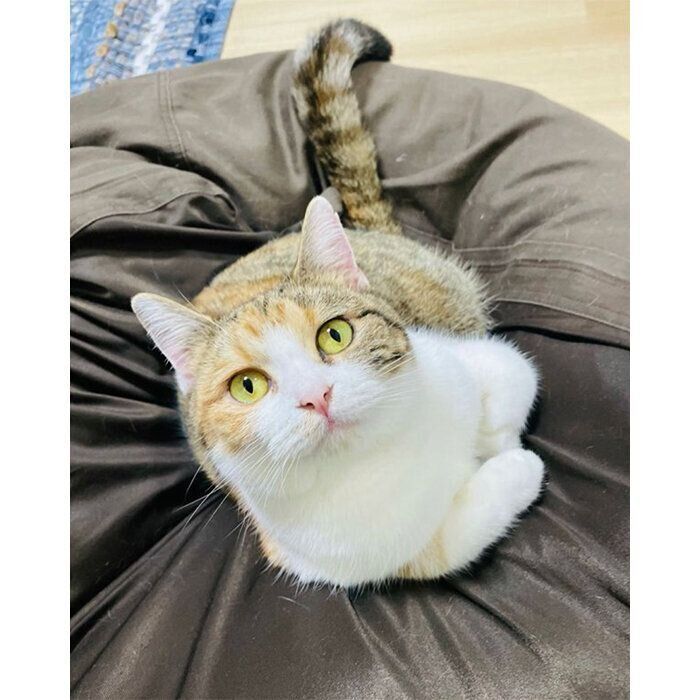 トライアル初日のちゃちゃみちゃん