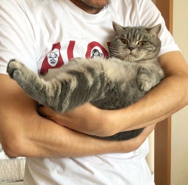 抱っこされるぽぺんちゃん