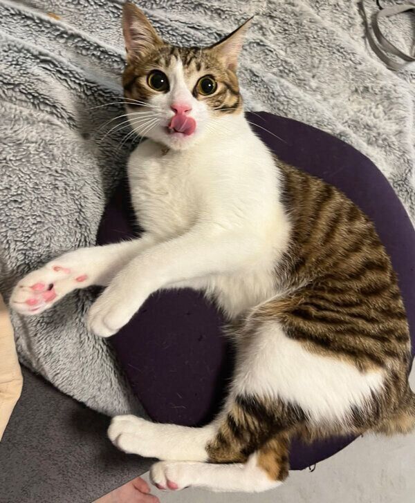 1才になった吟ちゃん