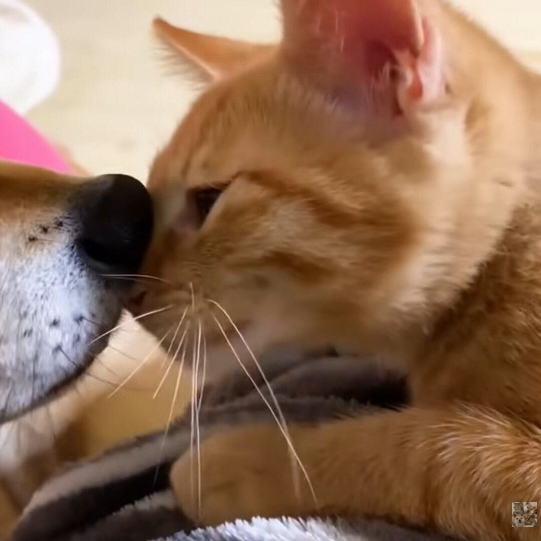 優しいリクちゃん