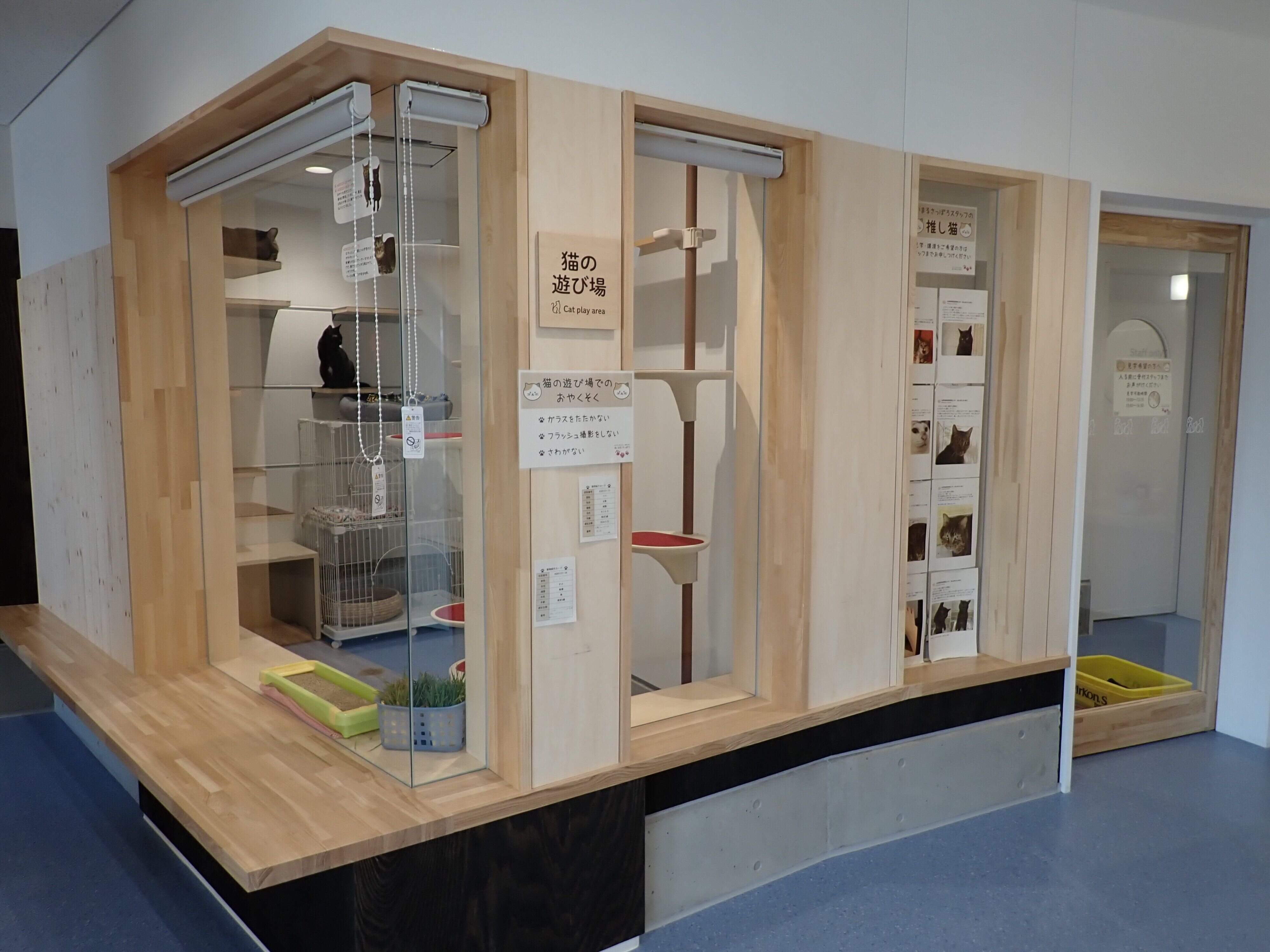 写真提供／札幌市動物愛護管理センター「あいまる さっぽろ」