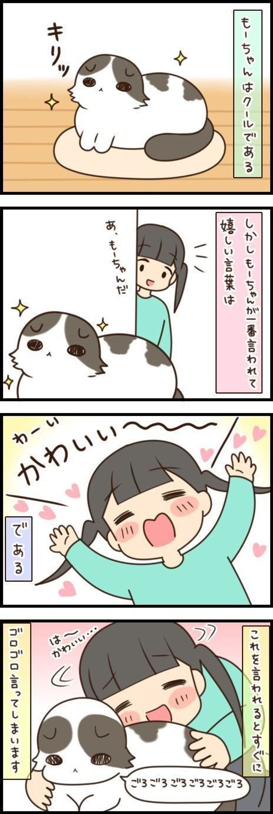 猫が言われて嬉しい 言葉 と ツンデレもーちゃんの デレ もふもふスコたん Vol 108 ねこのきもちweb Magazine 猫が言われて嬉しい 言葉 と ツンデレもーちゃんの デレ もふもふスコたん Vol 108 ねこのきもちweb Magazine