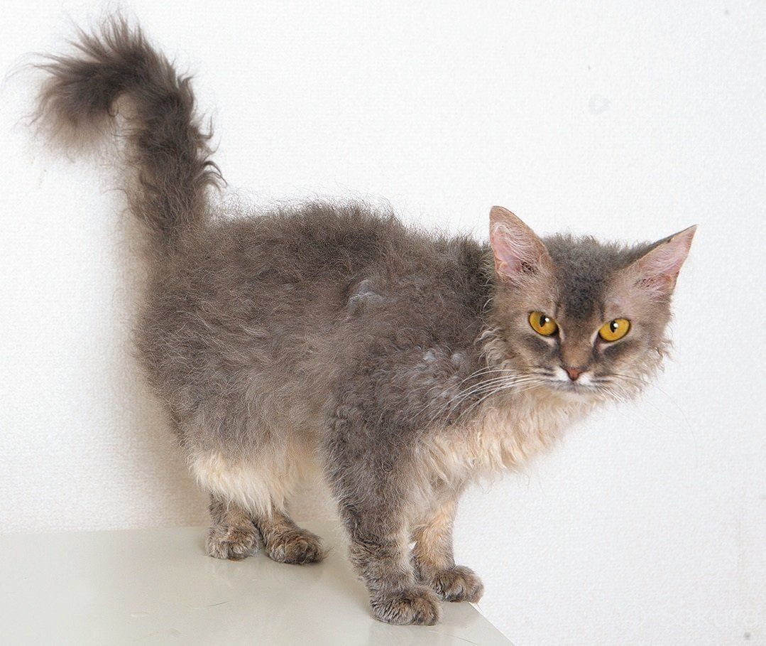 撮影／石原さくら