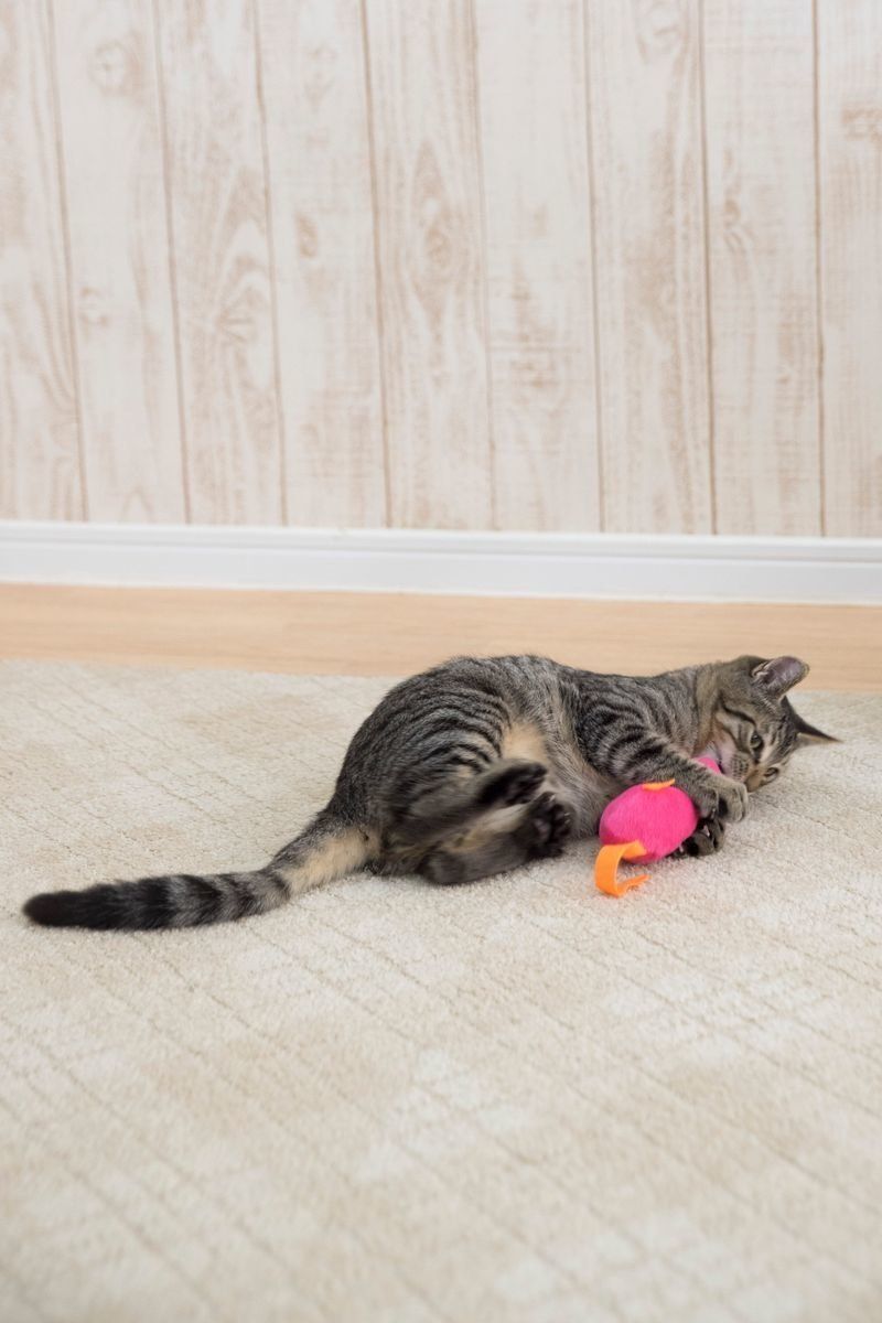 撮影／中川文作