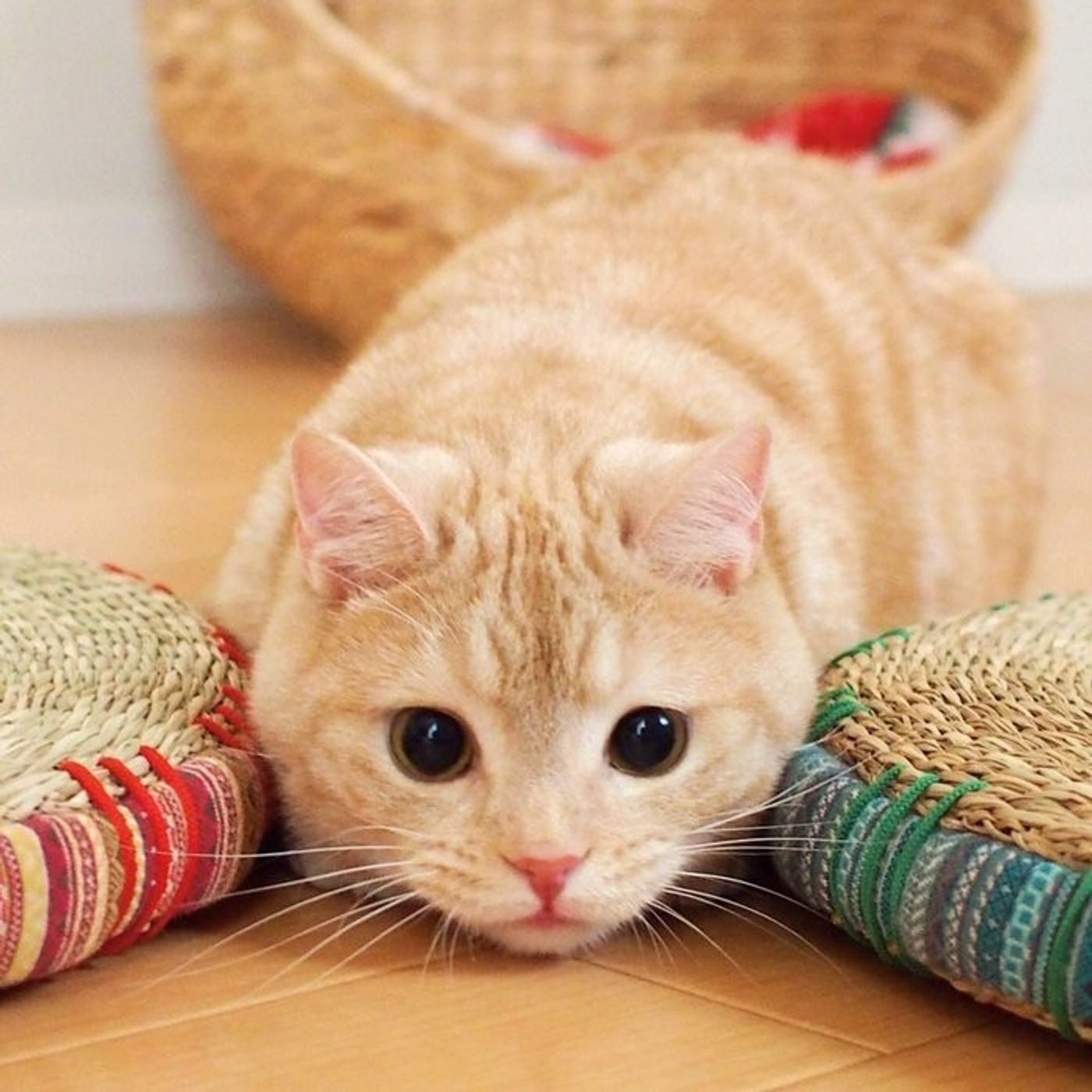 Uwrx 5qs4p7zrm Uwrx 5qs4p7zrm